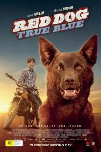 Red Dog: True Blue (2016) เต็มเรื่อง