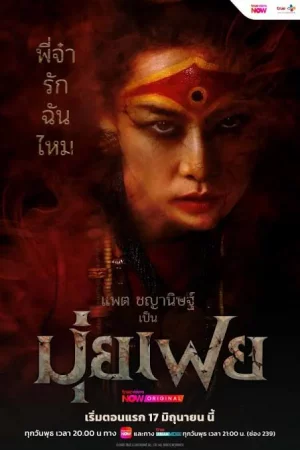 MuiFei มุ่ยเฟย