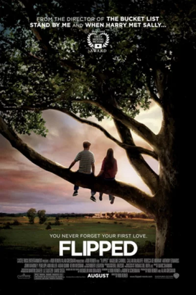 Flipped (2010) หวานนักวันรักแรก