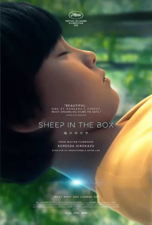 Sheep in the Box (2026) เต็มเรื่อง